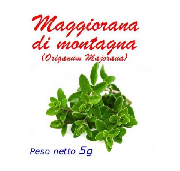 Maggiorana