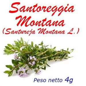 Santoreggia Montana