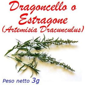 Dragoncello o Estragone