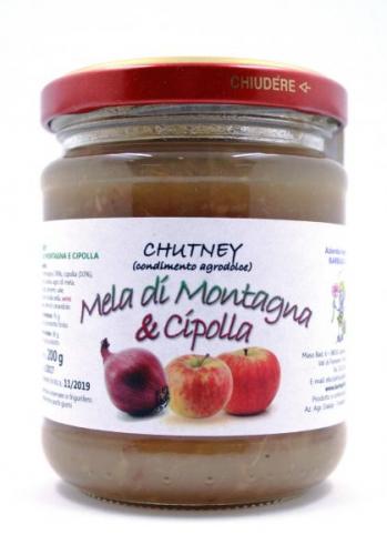 Chutney Mela Montagna e Cipolla